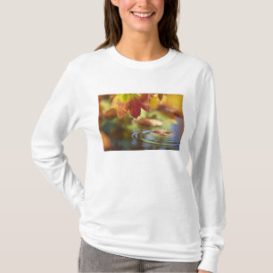 USA, Washington, Bellingham, Close-up of autumn T-Shirt