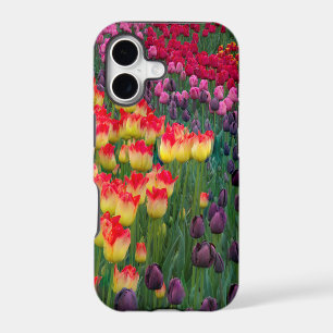USA, Washington. Blooming Tulips 2 iPhone 17 Case