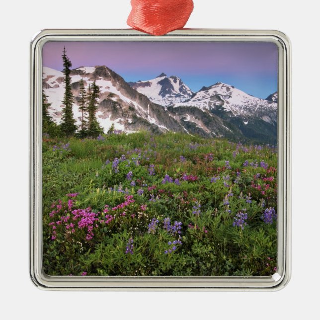 USA, Washington, Cascade Mountains, North Metal Ornament (Front)
