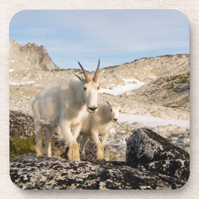 USA, Washington, Cascade Range 2 Drink Coaster (Front)