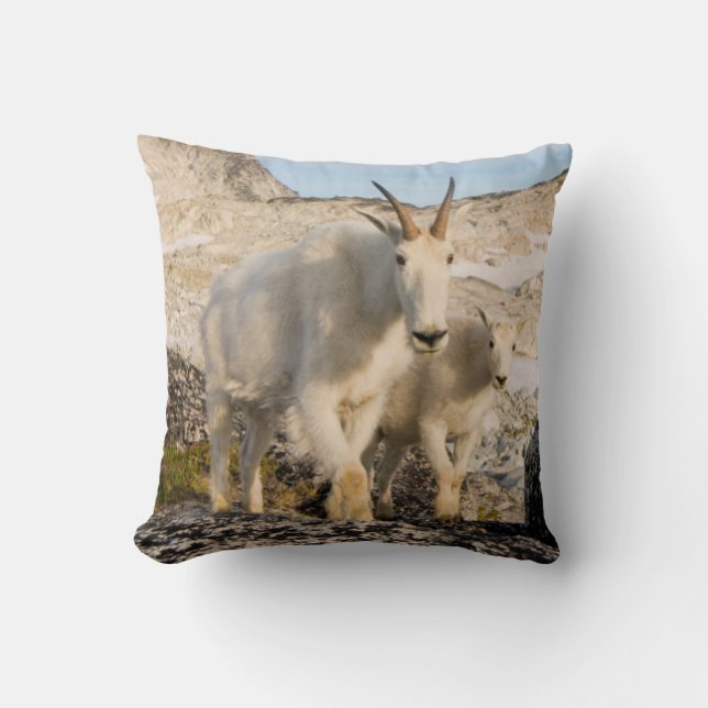USA, Washington, Cascade Range 2 Throw Pillow (Front)