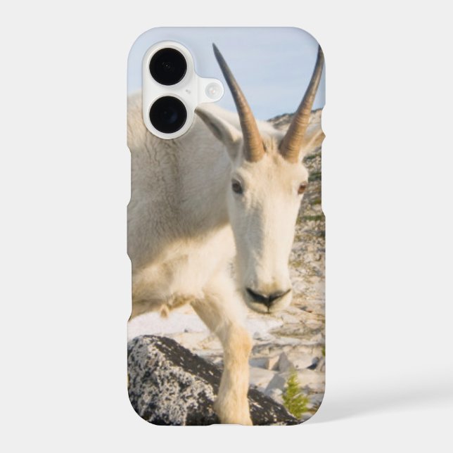 USA, Washington, Cascade Range 3 Iphone Case (Back)