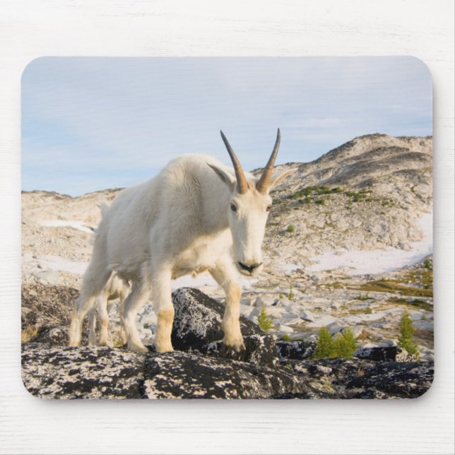 USA, Washington, Cascade Range 3 Mouse Pad (Front)