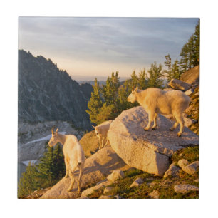 USA, Washington, Cascade Range 4 Ceramic Tile