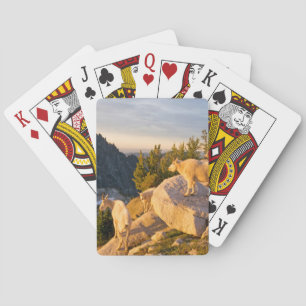 USA, Washington, Cascade Range 4 Poker Cards