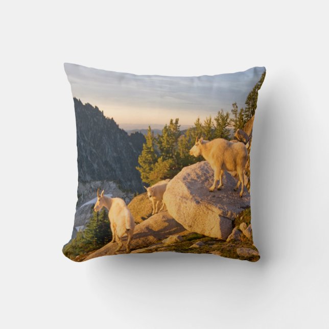 USA, Washington, Cascade Range 4 Throw Pillow (Front)