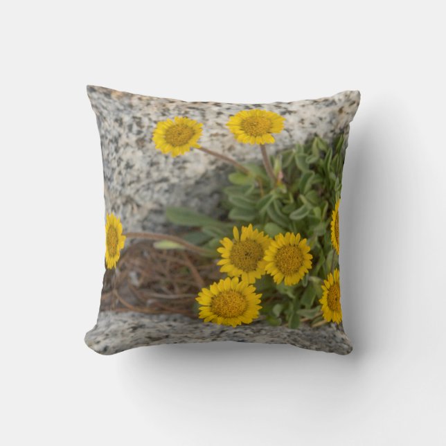 USA, Washington, Cascade Range 5 Throw Pillow (Front)
