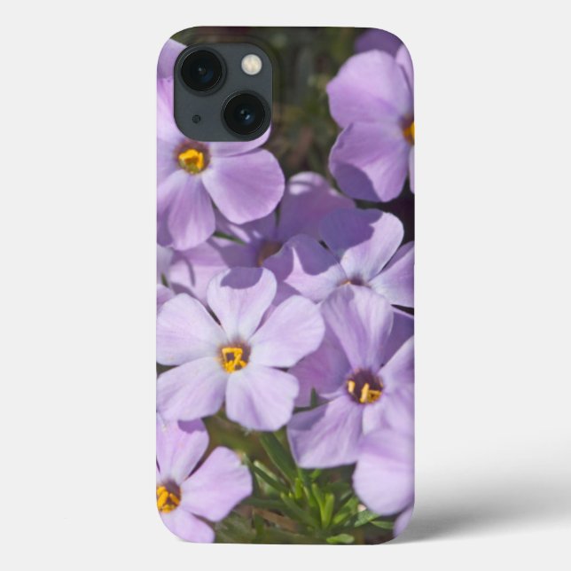 USA, Washington, Cascade Range 6 Case-Mate iPhone Case (Back)