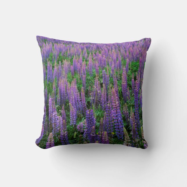 USA, Washington, Clallam County, Lupine Throw Pillow (Front)