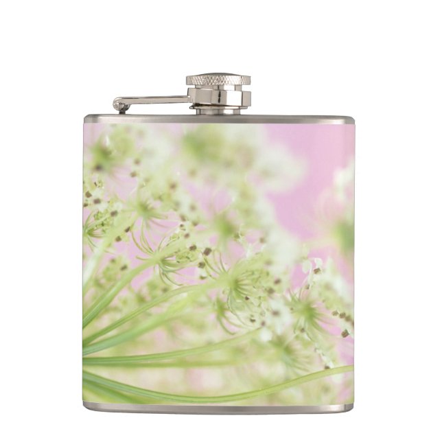 USA, Washington, Close-up of cow parsnip Flask (Front)