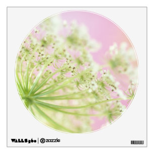 USA, Washington, Close-up of cow parsnip Wall Sticker