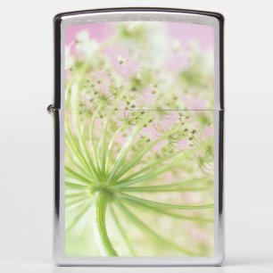 USA, Washington, Close-up of cow parsnip Zippo Lighter
