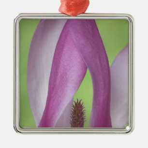 USA, Washington. Close-up of magnolia blossom. Metal Ornament