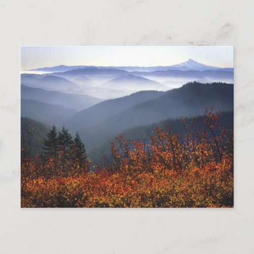 USA Washington Columbia River Gorge National Postcard