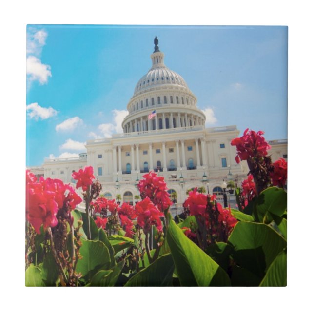 USA, Washington DC, Capitol Building Ceramic Tile (Front)