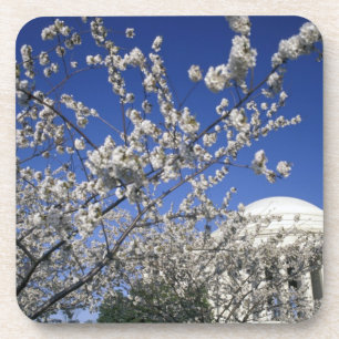 USA, Washington DC. Cherry Blossom Festival and 2 Beverage Coaster
