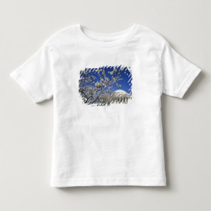 USA, Washington DC. Cherry Blossom Festival and 2 Toddler T-shirt