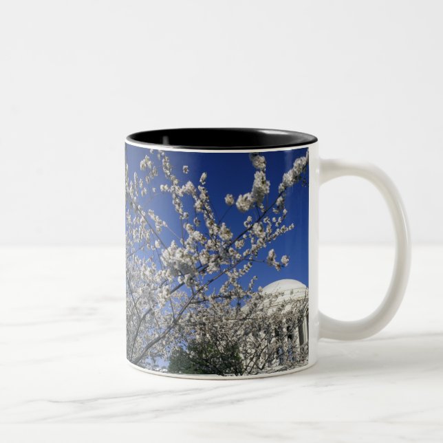 USA, Washington DC. Cherry Blossom Festival and 2 Two-Tone Coffee Mug (Right)