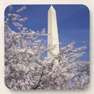 USA, Washington DC. Cherry Blossom Festival and Coaster