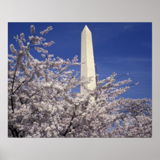 USA, Washington DC. Cherry Blossom Festival and Poster