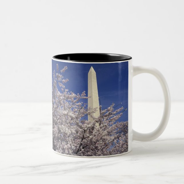 USA, Washington DC. Cherry Blossom Festival and Two-Tone Coffee Mug (Right)