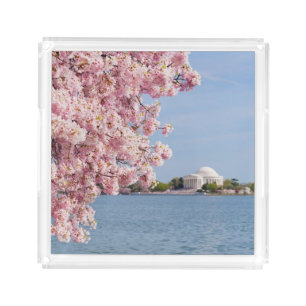 USA, Washington DC, Cherry tree Acrylic Tray