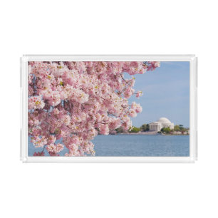 USA, Washington DC, Cherry tree Acrylic Tray