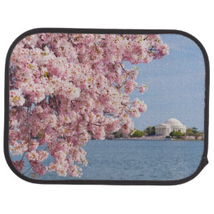 USA, Washington DC, Cherry tree Car Mat