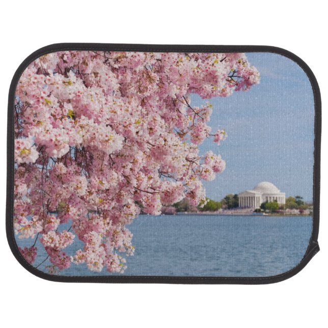 USA, Washington DC, Cherry tree Car Mat (Rear)