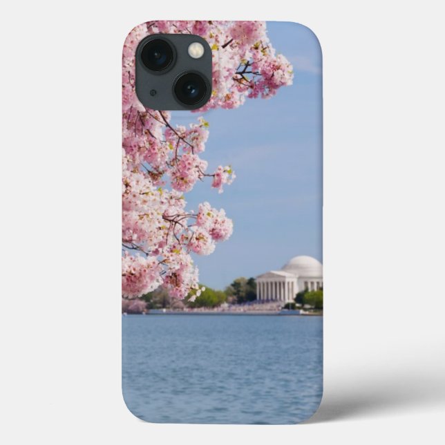 USA, Washington DC, Cherry tree Case-Mate iPhone Case (Back)
