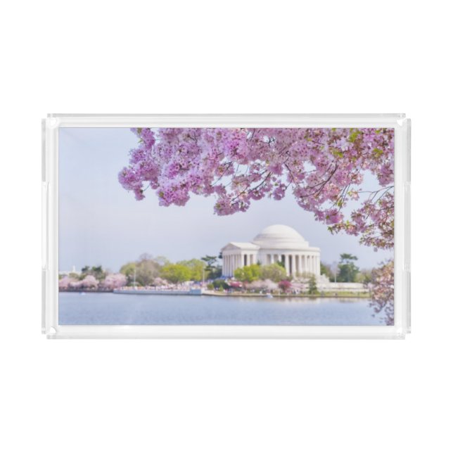 USA, Washington DC, Cherry tree in bloom Acrylic Tray (Front)