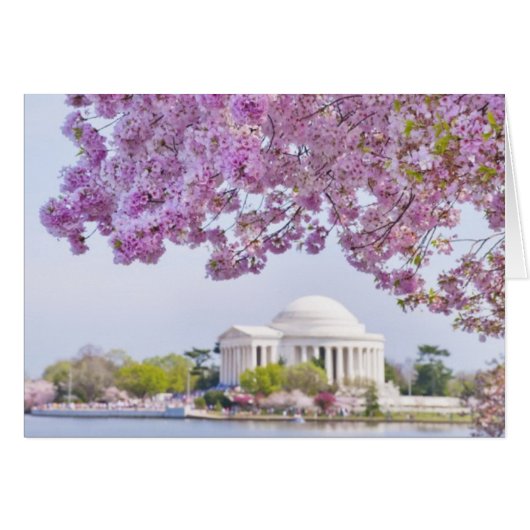 USA, Washington DC, Cherry tree in bloom Cards (Front Horizontal)