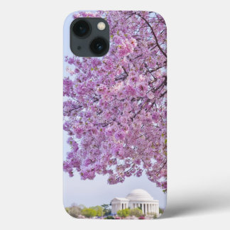 USA, Washington DC, Cherry tree in bloom iPhone 13 Case