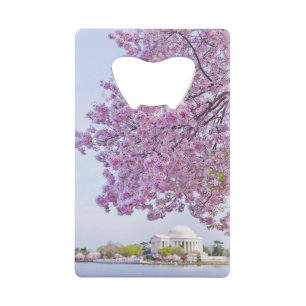 USA, Washington DC, Cherry tree in bloom Credit Card Bottle Opener