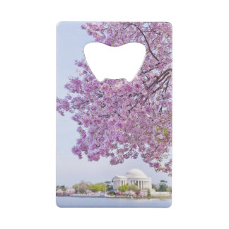 USA, Washington DC, Cherry tree in bloom Credit Card Bottle Opener