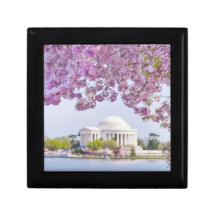 USA, Washington DC, Cherry tree in bloom Gift Box