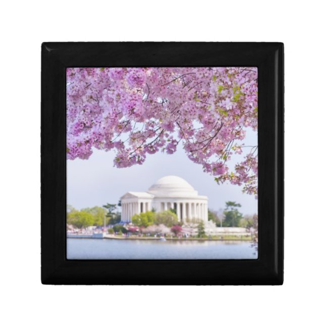 USA, Washington DC, Cherry tree in bloom Gift Box (Front)