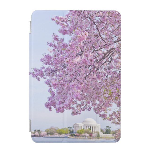 USA, Washington DC, Cherry tree in bloom iPad Mini Cover (Front)