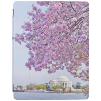 USA, Washington DC, Cherry tree in bloom iPad Smart Cover