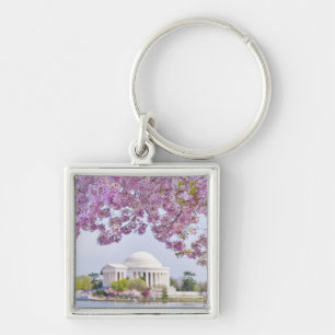 USA, Washington DC, Cherry tree in bloom Keychain