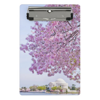USA, Washington DC, Cherry tree in bloom Mini Clipboard