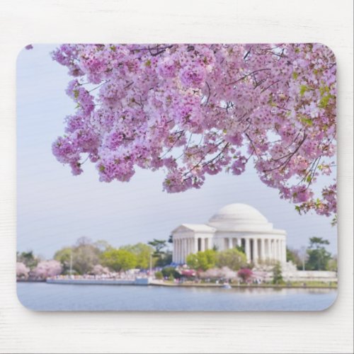 USA Washington DC Cherry tree in bloom Mouse Pad