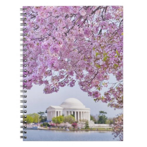 USA Washington DC Cherry tree in bloom Notebook