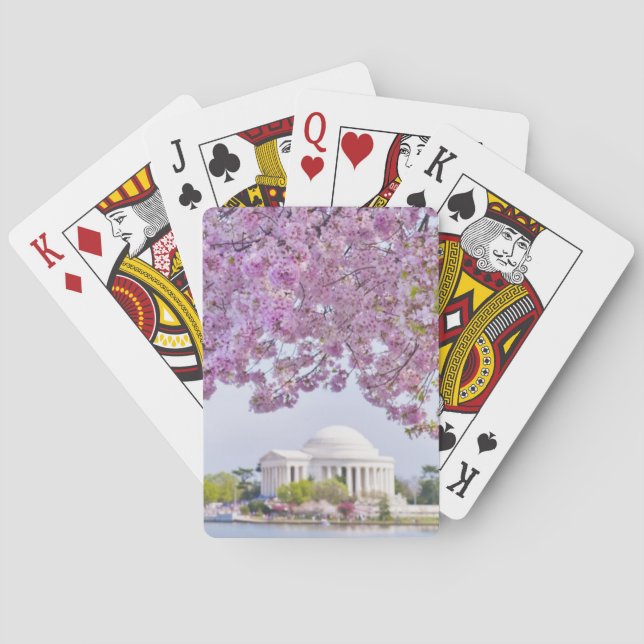 USA, Washington DC, Cherry tree in bloom Poker Cards (Back)