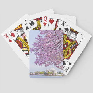 USA, Washington DC, Cherry tree in bloom Poker Cards
