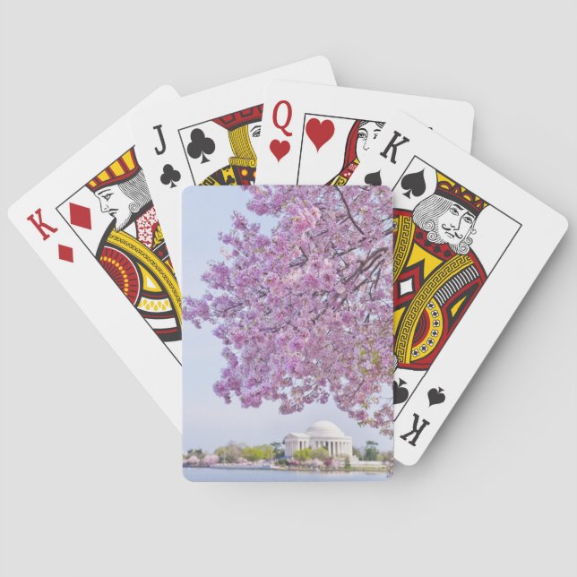 USA, Washington DC, Cherry tree in bloom Poker Cards (Back)