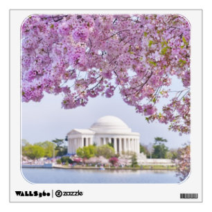 USA, Washington DC, Cherry tree in bloom Wall Decal