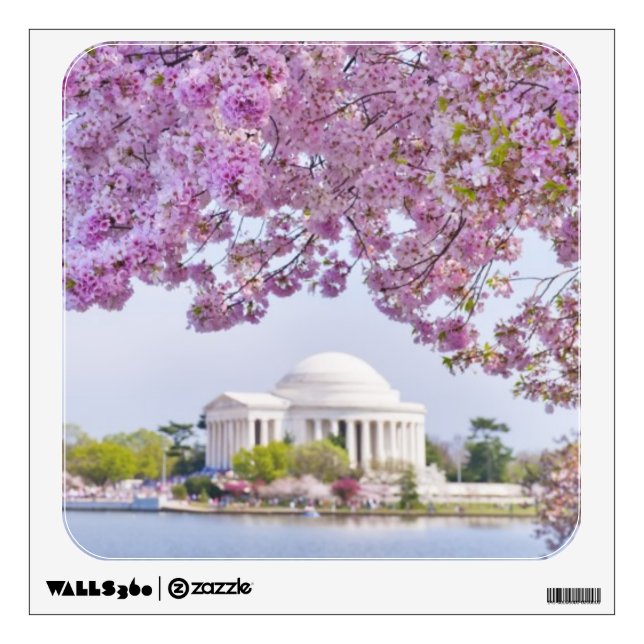 USA, Washington DC, Cherry tree in bloom Wall Decal (Front)