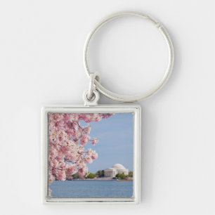 USA, Washington DC, Cherry tree Keychain