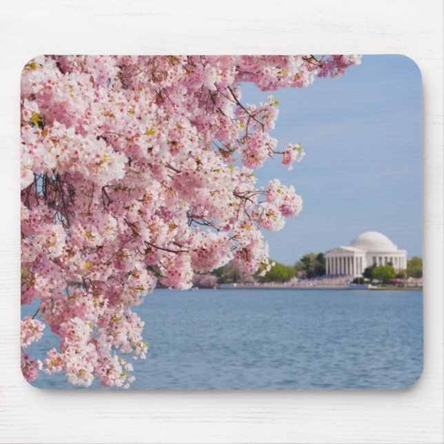 USA, Washington DC, Cherry tree Mouse Pad (Front)